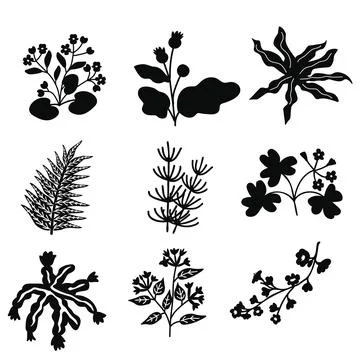Isolated floral set Stock Illustration