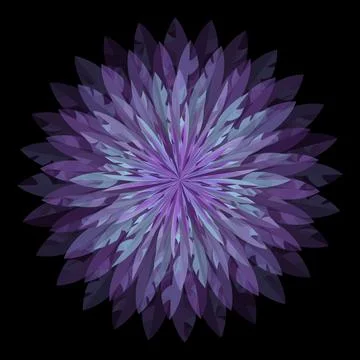 Isolated flower, design element. Design for postcard, business card or invita Stock Illustration