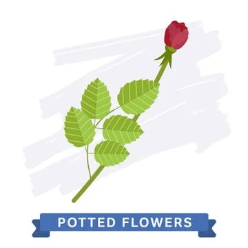 Isolated Flower Stock Illustration