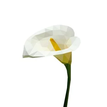 Isolated flower of white calla composed of triangles on white background. Stock Illustration