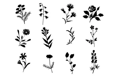 Isolated flowers set Stock Illustration