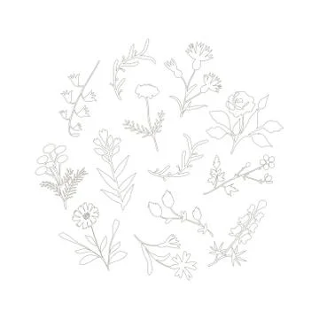 Isolated flowers set Stock Illustration