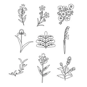 Isolated flowers set Stock Illustration