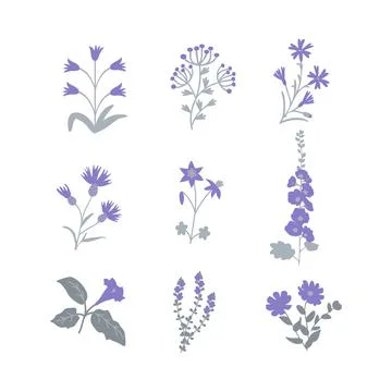 Isolated flowers set Stock Illustration
