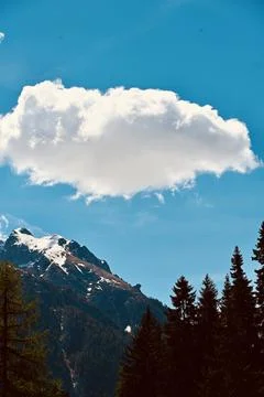 Isolated Fluffy Cloud Floating Above Pine Trees and Mountain Peaks Stock Photos