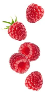 Isolated flying berries. Falling raspberry fruits isolated on white background Stock Photos