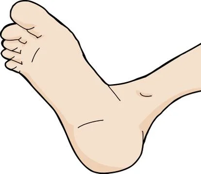 Isolated foot Stock Illustration
