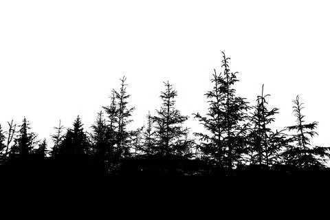 Isolated forest a mountain on a white 스톡 사진