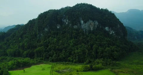 Isolated Forested Hill in Tropical Jungle Environment Stock Footage 336948978