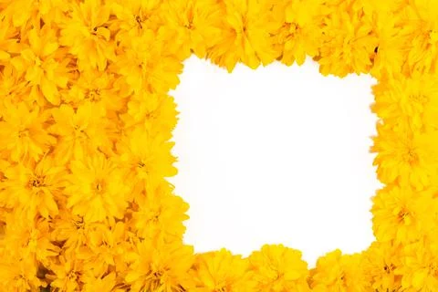 Isolated frame and border of bright yellow spring flowers close-up Stock Photos