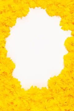 Isolated frame and border of bright yellow spring flowers close-up Stock Photos