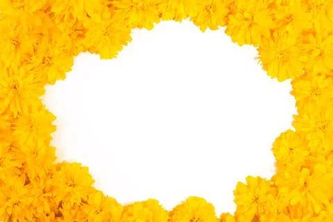 Isolated frame and border of bright yellow spring flowers close-up Stock Photos