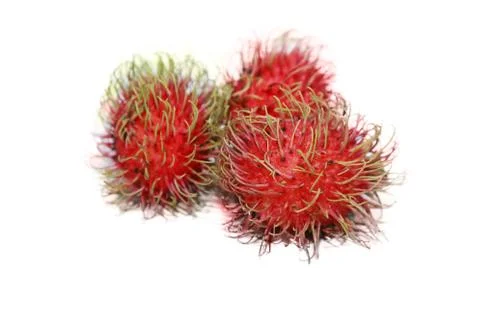 Isolated fresh rambutans Stock Photos