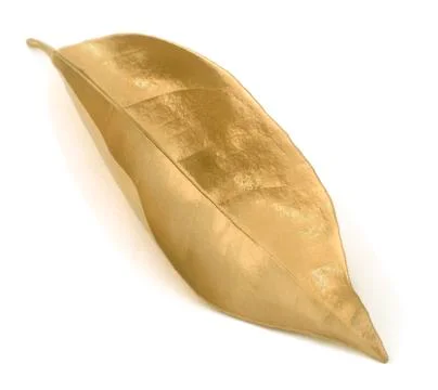 Isolated Gold Leaf Stock Photos