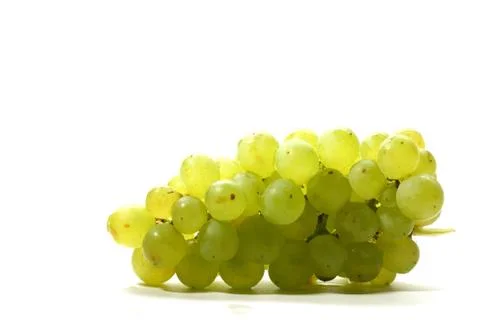 Isolated grape Foto stock