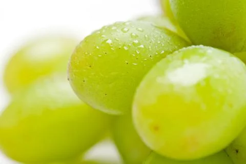 Isolated Grape Foto stock