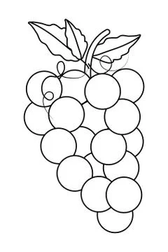 Isolated grapes fruit design vector illustrator Stock Illustration
