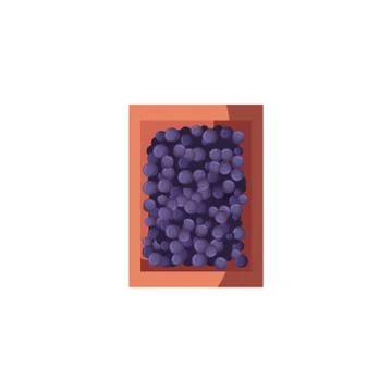 Isolated grapes fruit inside box vector design Stock Illustration