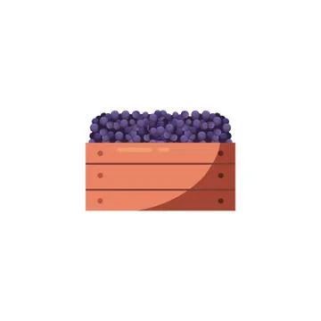 Isolated grapes fruit inside box vector design Illustrazione stock