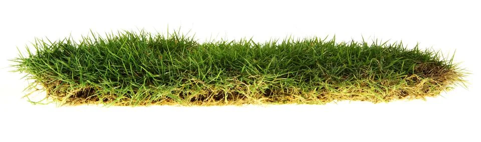 Isolated Grass Patch on White Stock-Fotos