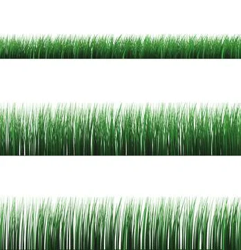 Isolated grass 스톡 사진