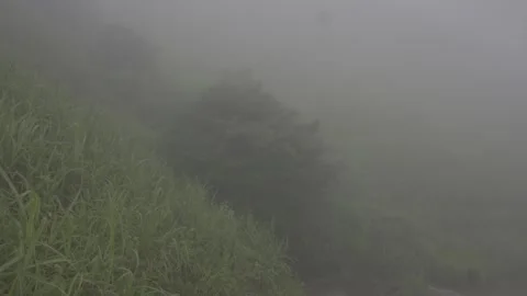 Isolated Grass Slope in Mist Stock-Footage 343664524
