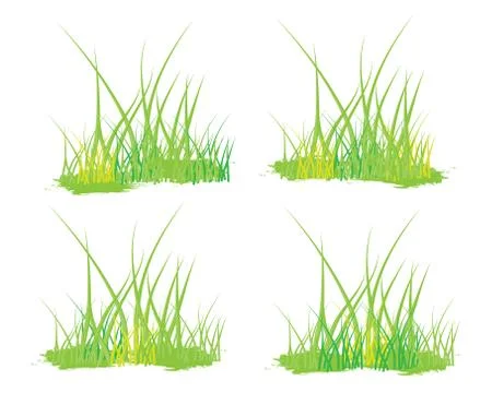 Isolated grass vector design Stock Illustration