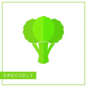 Isolated green broccoli memory training card Stock Illustration