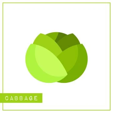 Isolated green cabbage memory training card Illustrazione stock
