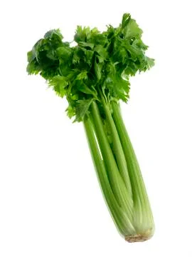 Isolated green celery Stock Photos