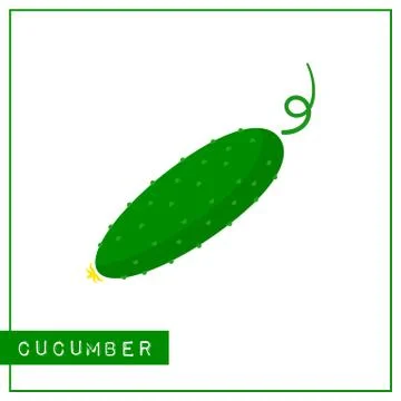 Isolated green cucumber memory training card Stock Illustration