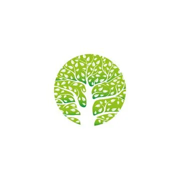 Isolated green gradient circular logo. Vector tree and leaves. Interweaving Stockillustratie