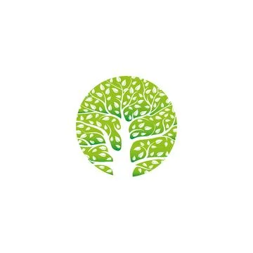 Isolated green gradient circular logo. Vector tree and leaves. Interweaving Stockillustratie