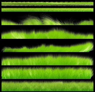 Isolated green grass collection Stock Photos