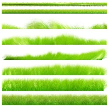 Isolated green grass collection Stock Photos