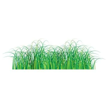 Isolated green grass side view. Stock Illustration