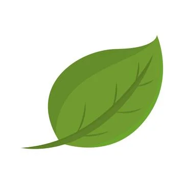 Isolated green leaf icon image Vector Illustrazione stock