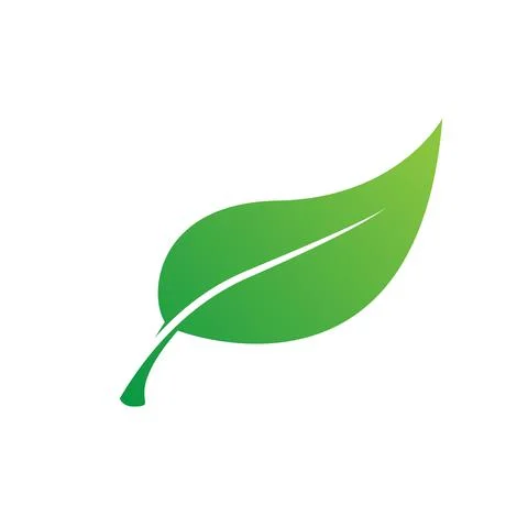 Isolated green leaf for icon, logo, object and vector object for natural lea Stock Illustration