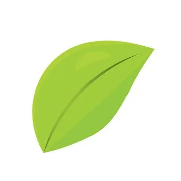 Isolated green leaf Illustrazione stock