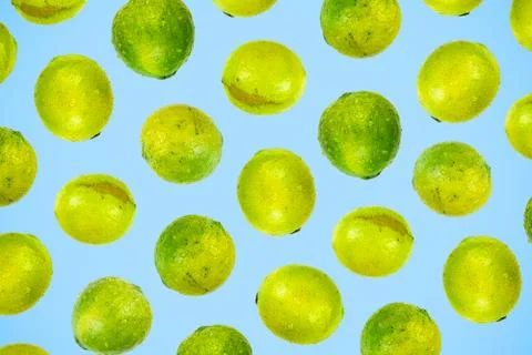 Isolated green lime pattern or wallpaper on light blue background Stock Photos