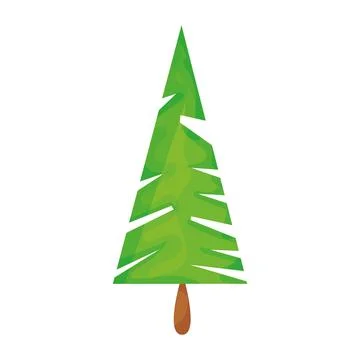 Isolated green pine tree icon Vector Stock Illustration