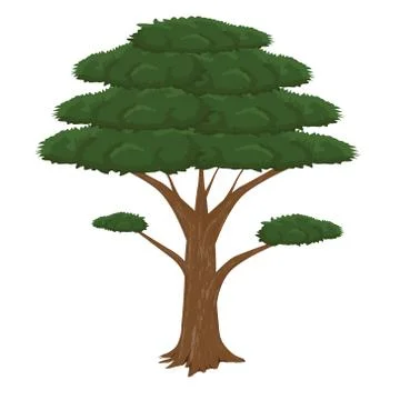 Isolated green tree on white background Stock Illustration