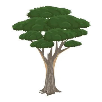 Isolated green tree on white background Stock Illustration