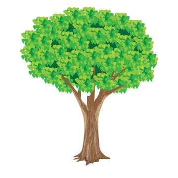 Isolated green tree on white background Stock Illustration