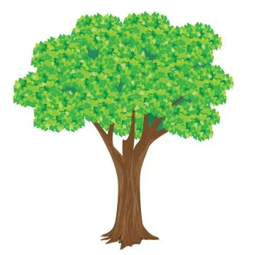 Isolated green tree on white background Stock Illustration