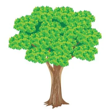 Isolated green tree on white background Stock Illustration