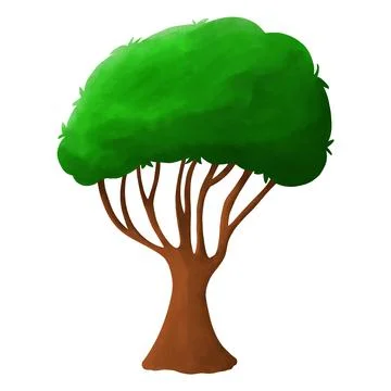 Isolated green tree on white background. Single tropical tree in illustrative Stock Illustration