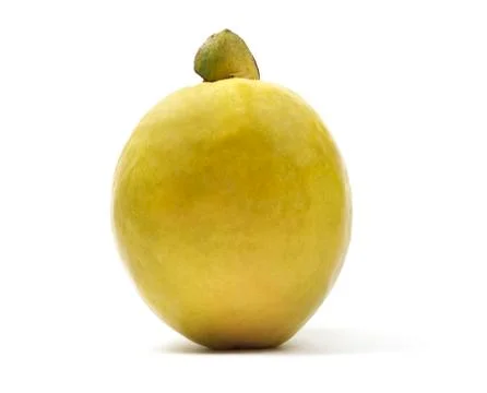 Isolated Guava Stock Photos