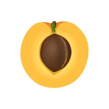 Isolated half of apricot on white background. Realistic colored slice with pi Stock Illustration