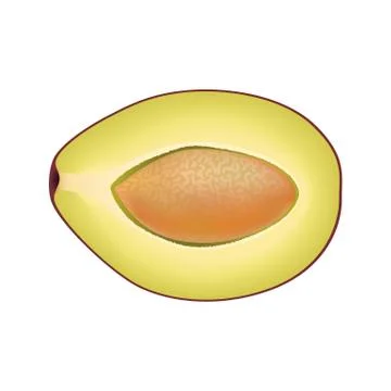 Isolated half of plum on white background. Realistic colored slice with pit. Stock Illustration